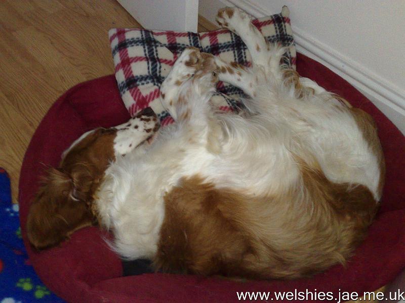 2010-01-10 01.jpg - It's just not big enough!